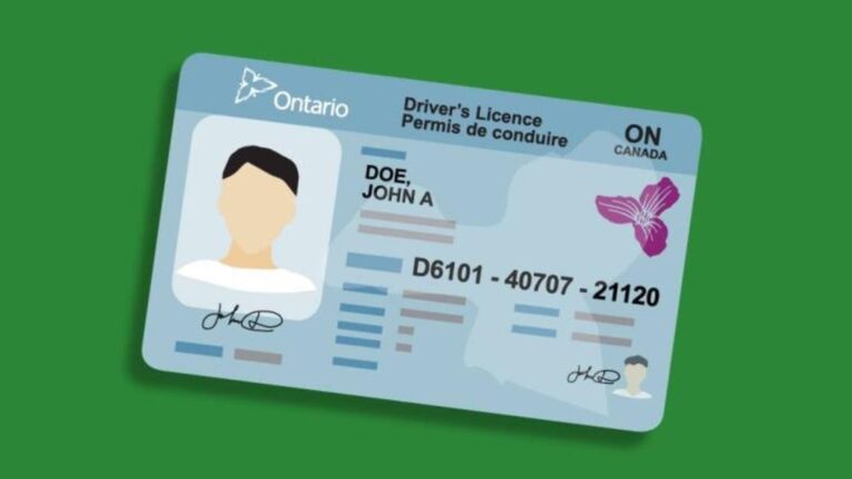 serviceontario drivers licence hero banner 760x560 2022 09 19