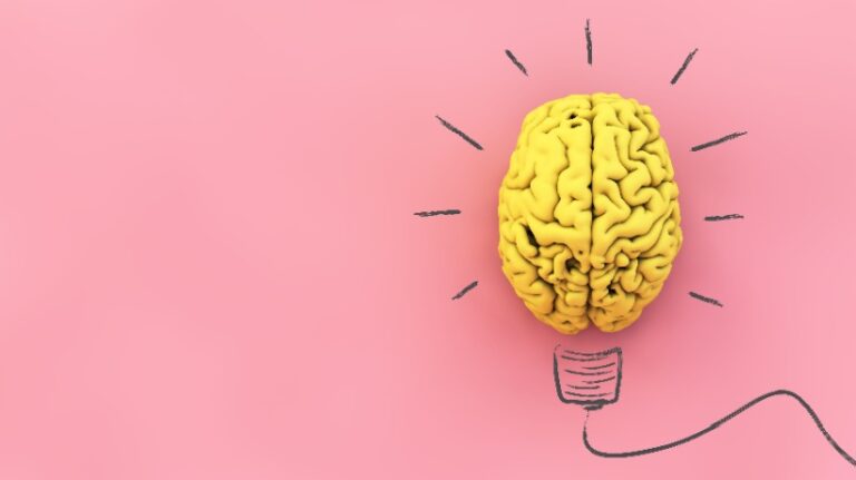 The Importance Of Neuroliteracy In Educators And eLearning Professionals