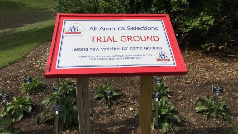 All America Selections Trial Ground garden varieties sign