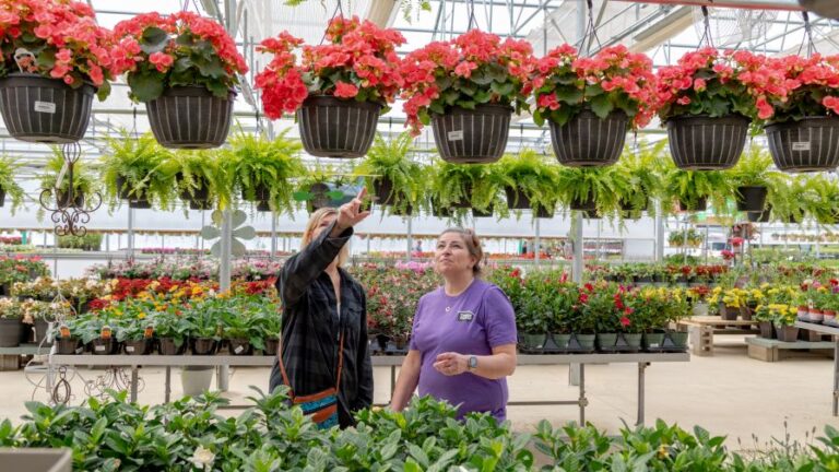 Greenhouse and garden center worker and customer for the SECURE 2.0 act retirement plan article