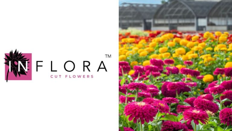 InFlora Cut Flowers first print and digital catalog of varieties