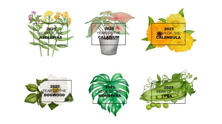 National Garden Bureau NGB 2025 Year of the Plant Campaign