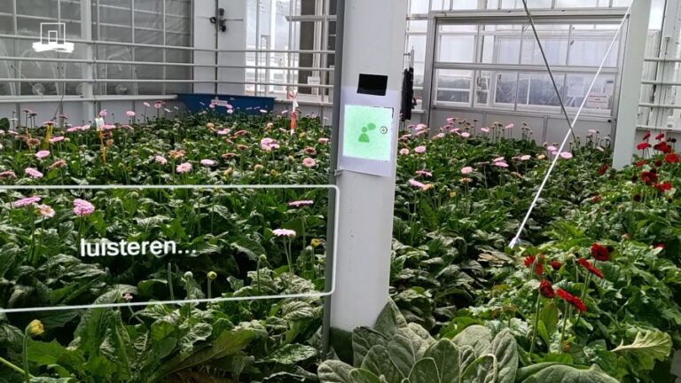 AR Horticulture Unlocking the potential of Augmented Reality from WUR screen grab